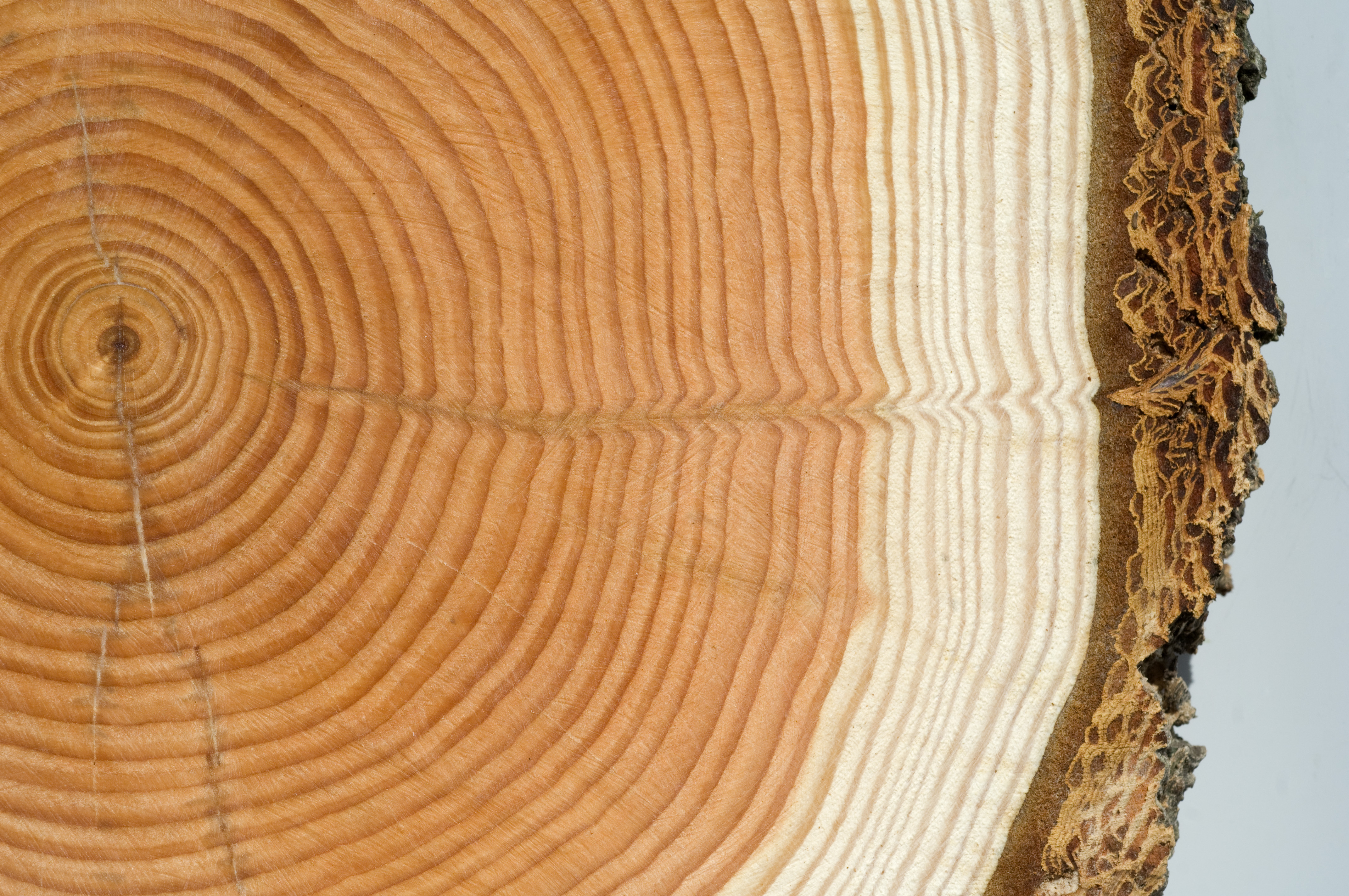 Möbelschreinerei Feil cover image