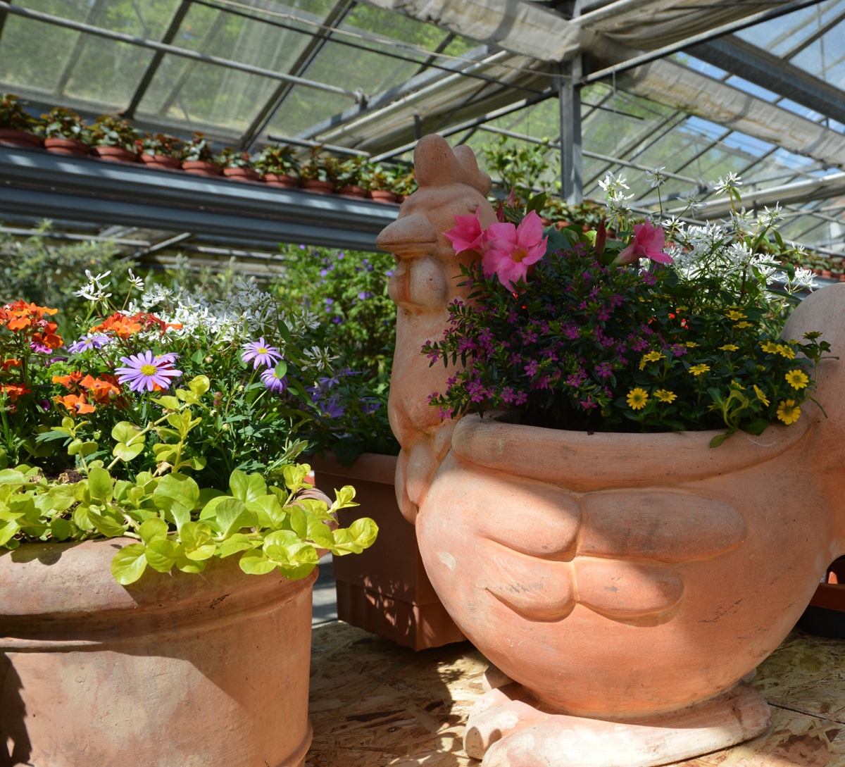 Beispielarbeit von Blumen Lessle - veröffentlicht auf Gartenbau.org