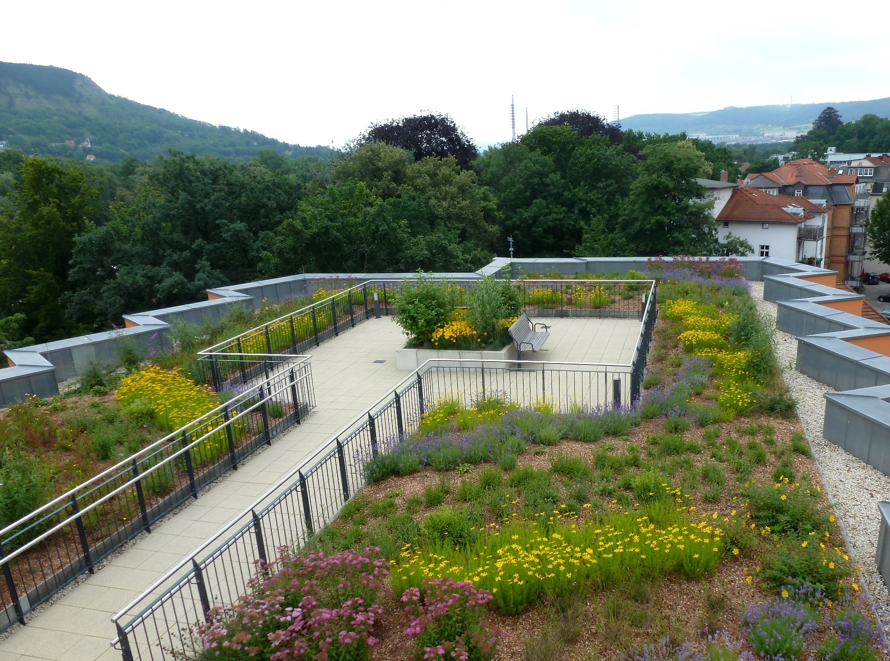 Beispielarbeit von GALABAU Kromsdorf Garten- und Landschaftsbau GmbH - veröffentlicht auf Gartenbau.org