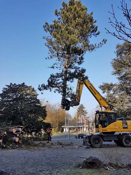 Beispielarbeit von Duwenhorst René Garten-Landschaftsbau-Tiefbau - veröffentlicht auf Bauunternehmen.org
