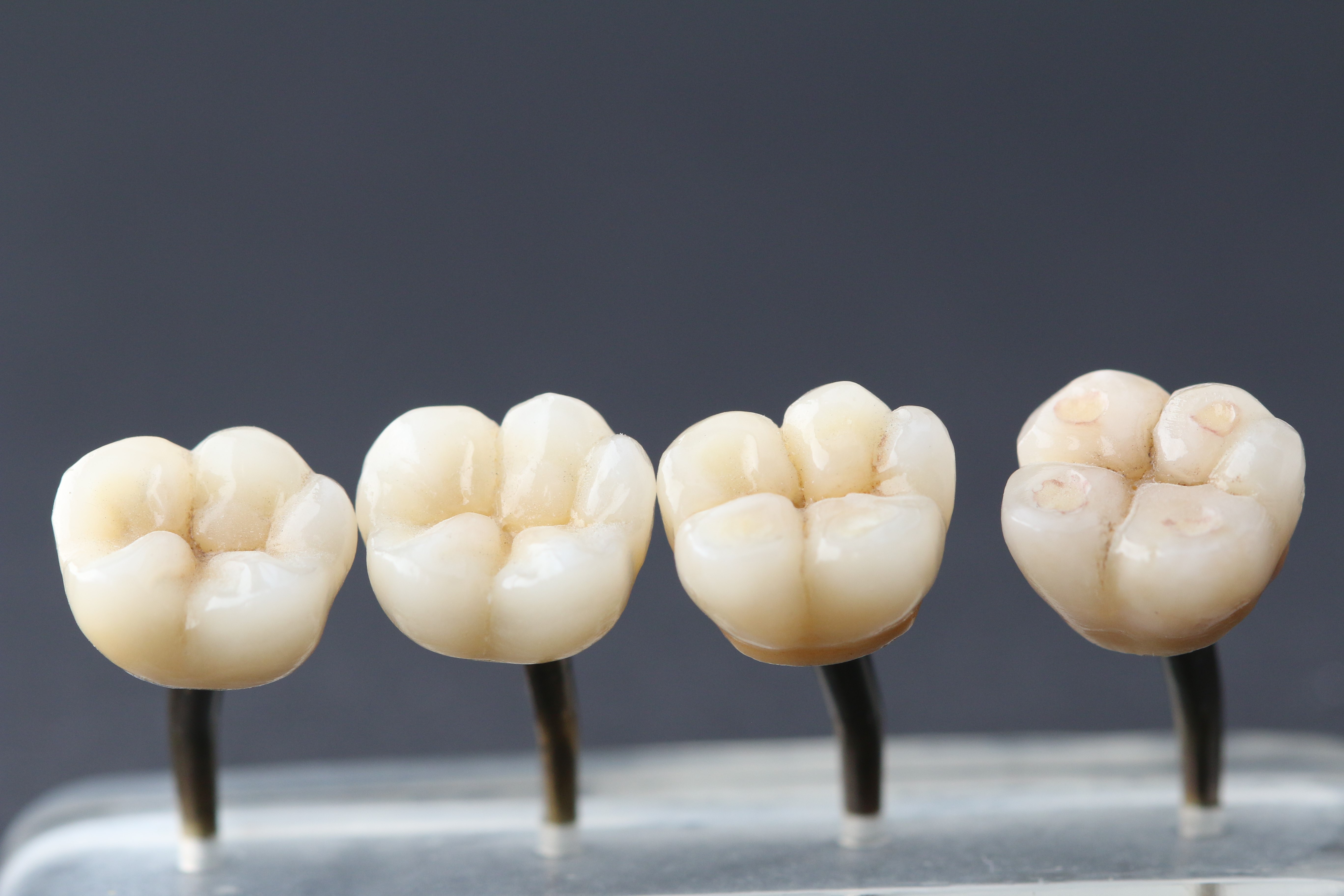 Härpfer & Zimmermann Zahntechnik oHG cover image