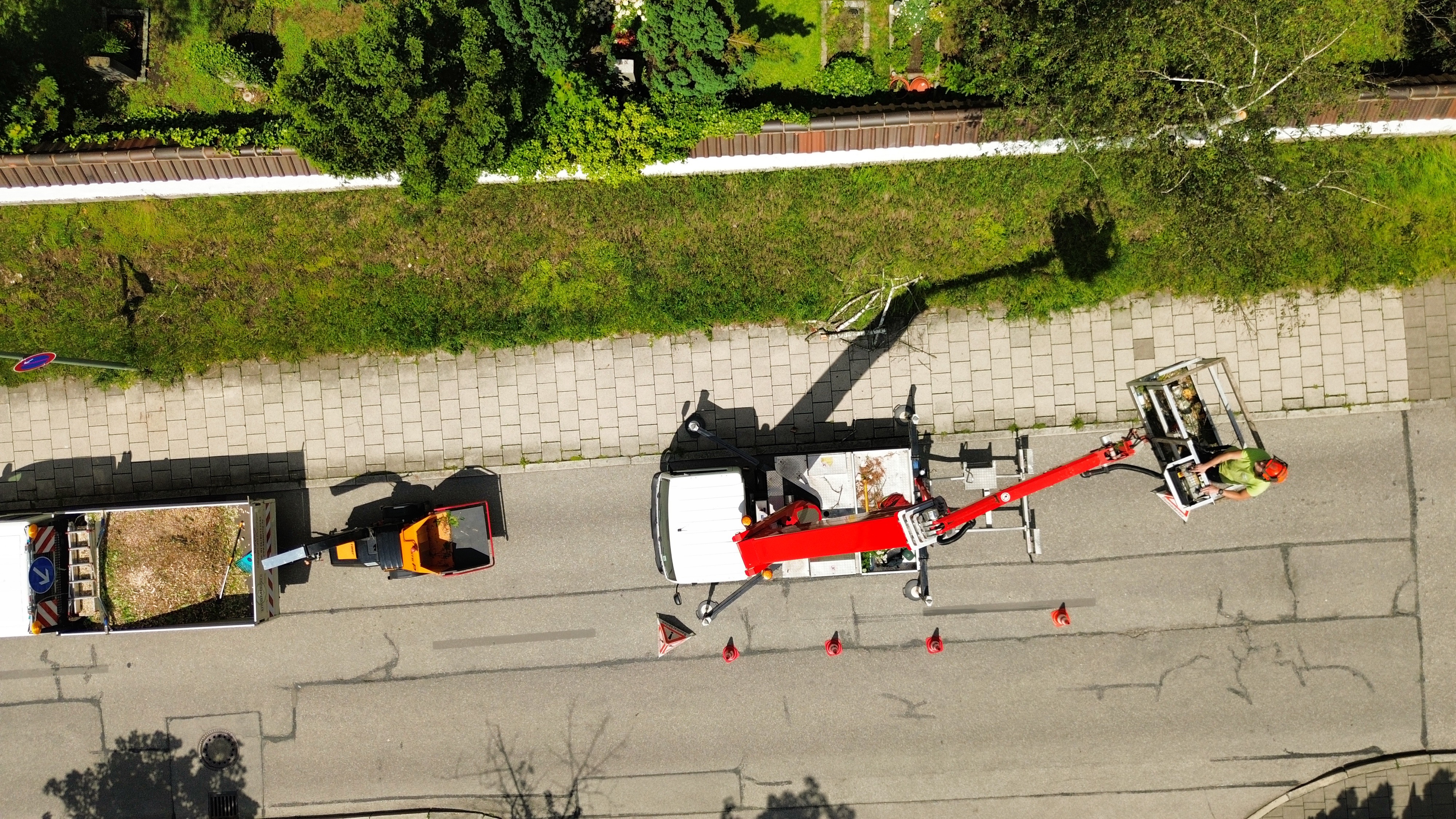 Beispielarbeit von Baumpflege Baumring - veröffentlicht auf Gartenbau.org
