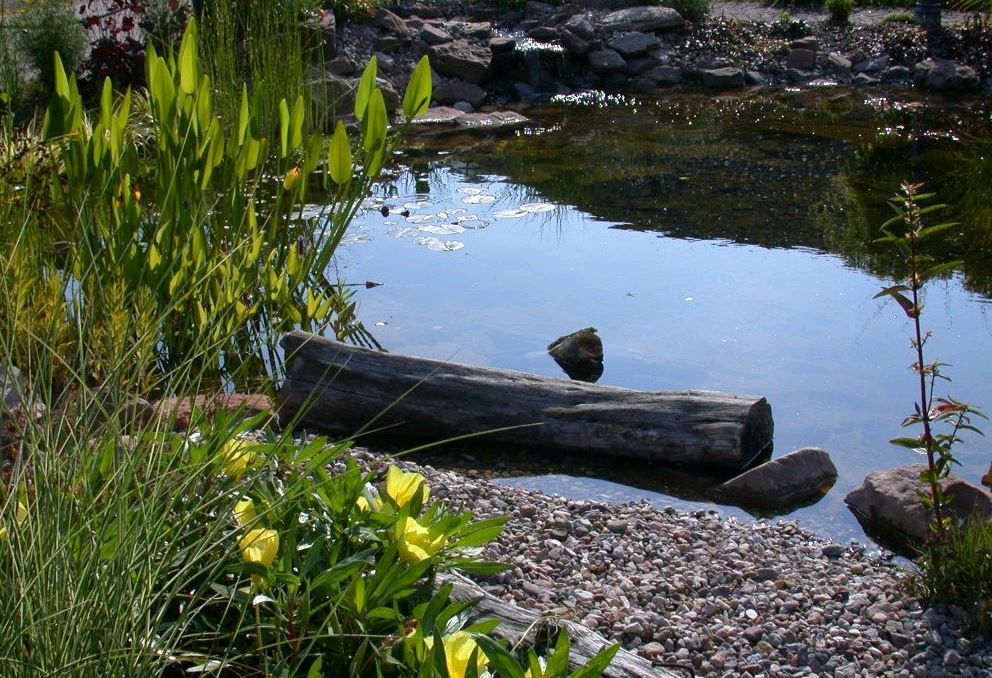 Beispielarbeit von Gartengestaltung Förster - veröffentlicht auf Gartenbau.org
