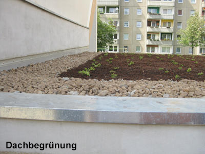 Beispielarbeit von Dachdeckerei Klemm GmbH - veröffentlicht auf Dachdecker.com