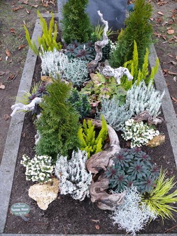 Beispielarbeit von Gärtnerei Moser GbR - veröffentlicht auf Gartenbau.org