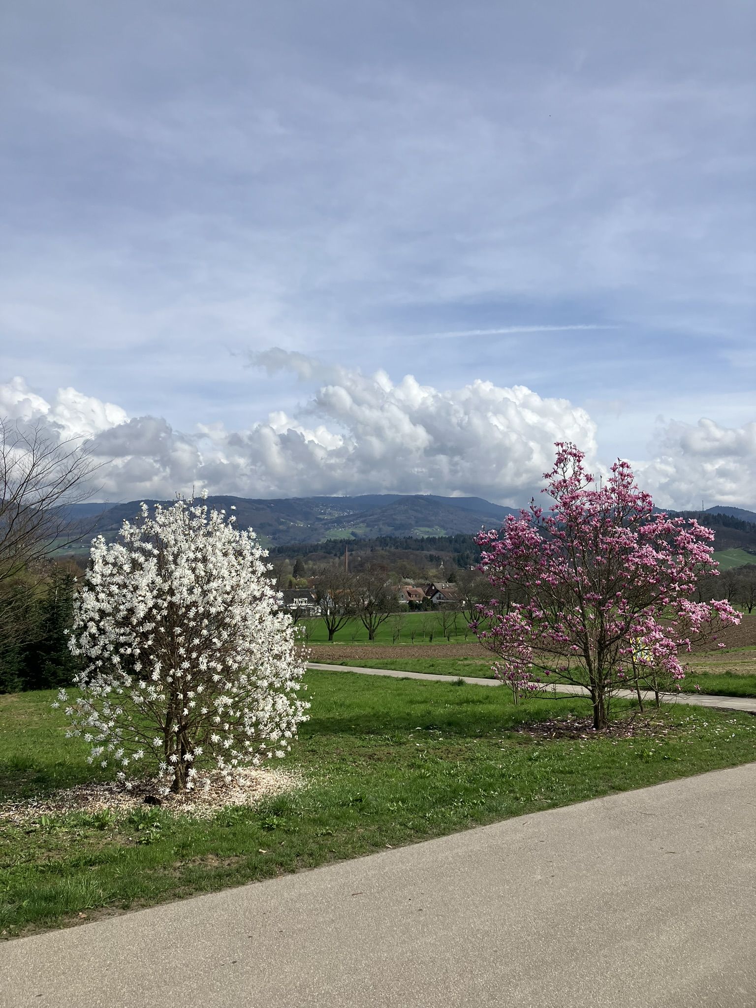 Beispielarbeit von Pflanzenzentrum & Gartengestaltung RÖSCH - veröffentlicht auf Gartenbau.org