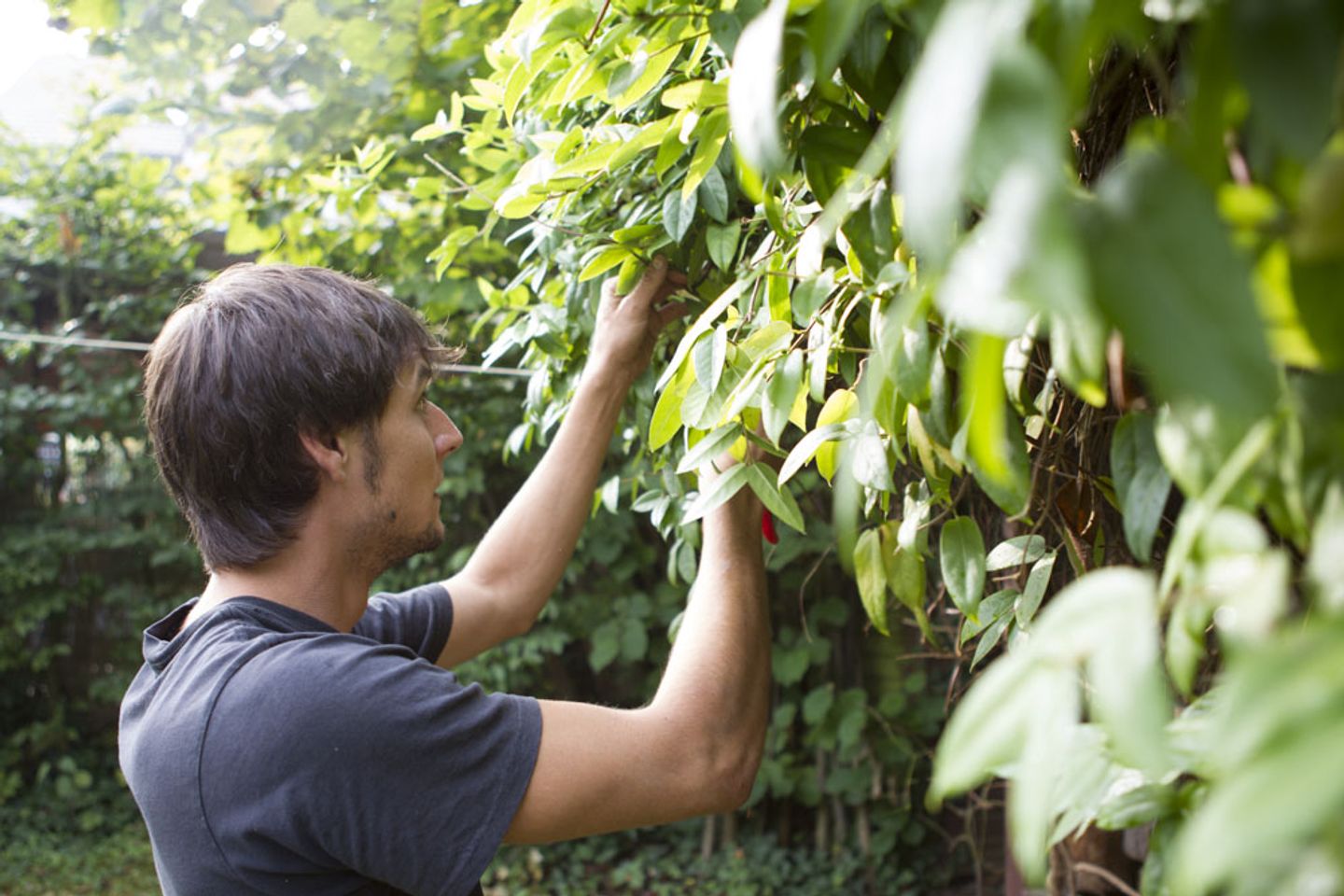 Beispielarbeit von Naturnahe Gartengestaltung Ralf Kretzer-Felske - veröffentlicht auf Gartenbau.org