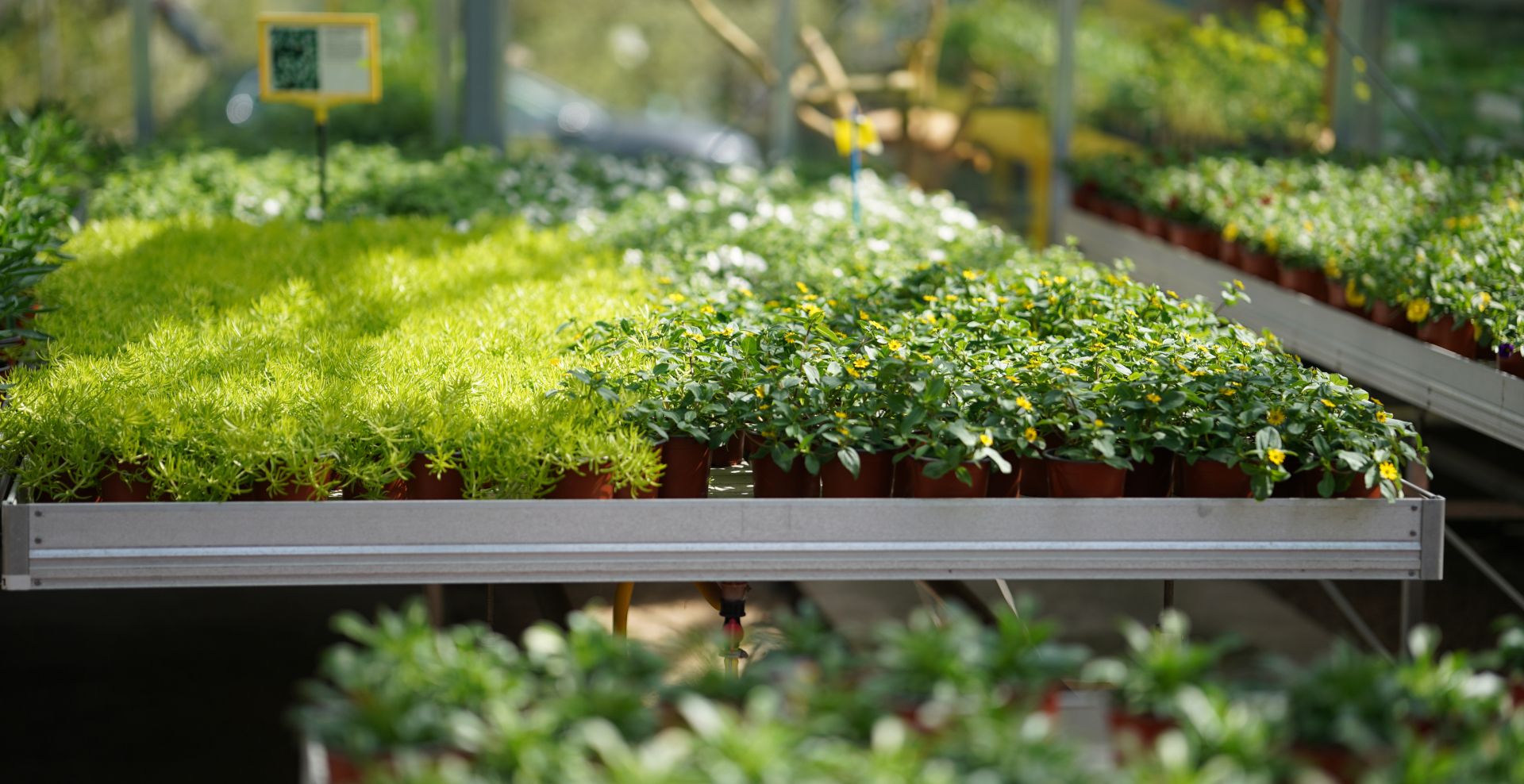 Beispielarbeit von Ulrich Kleinstäuber Gärtnerei - veröffentlicht auf Gartenbau.org