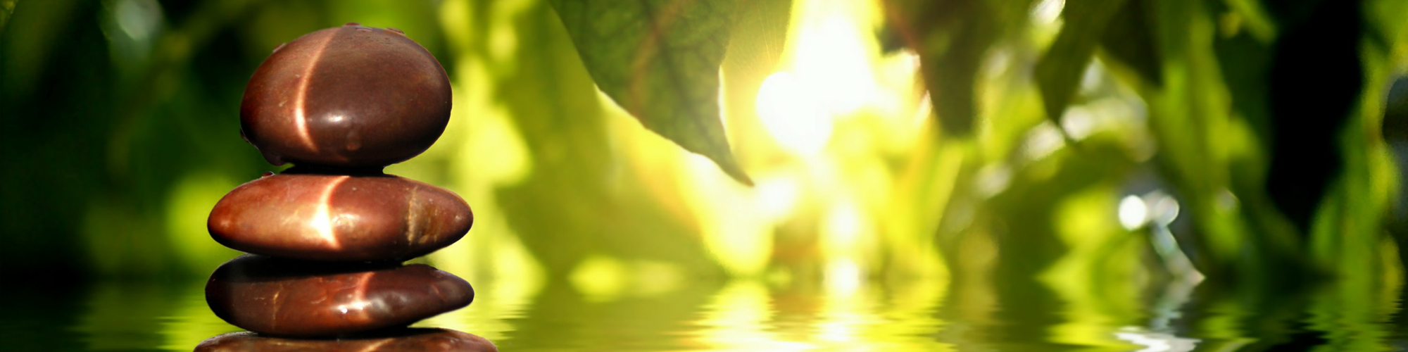 Praxis für Ergotherapie Heike Böttger cover image