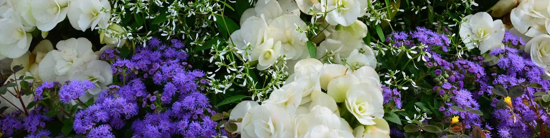 Elsner Mario Gartenbau Metz cover image