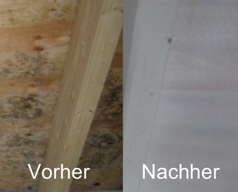 Beispielarbeit von SVENS GmbH - veröffentlicht auf Gutachter.org