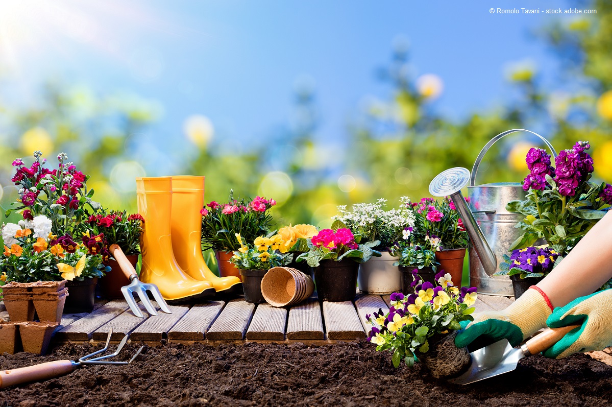 Beispielarbeit von Gärtnerei & Blumen Sturm - veröffentlicht auf Gartenbau.org
