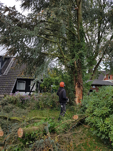 Beispielarbeit von Euro Baumdienst GmbH - veröffentlicht auf Gartenbau.org