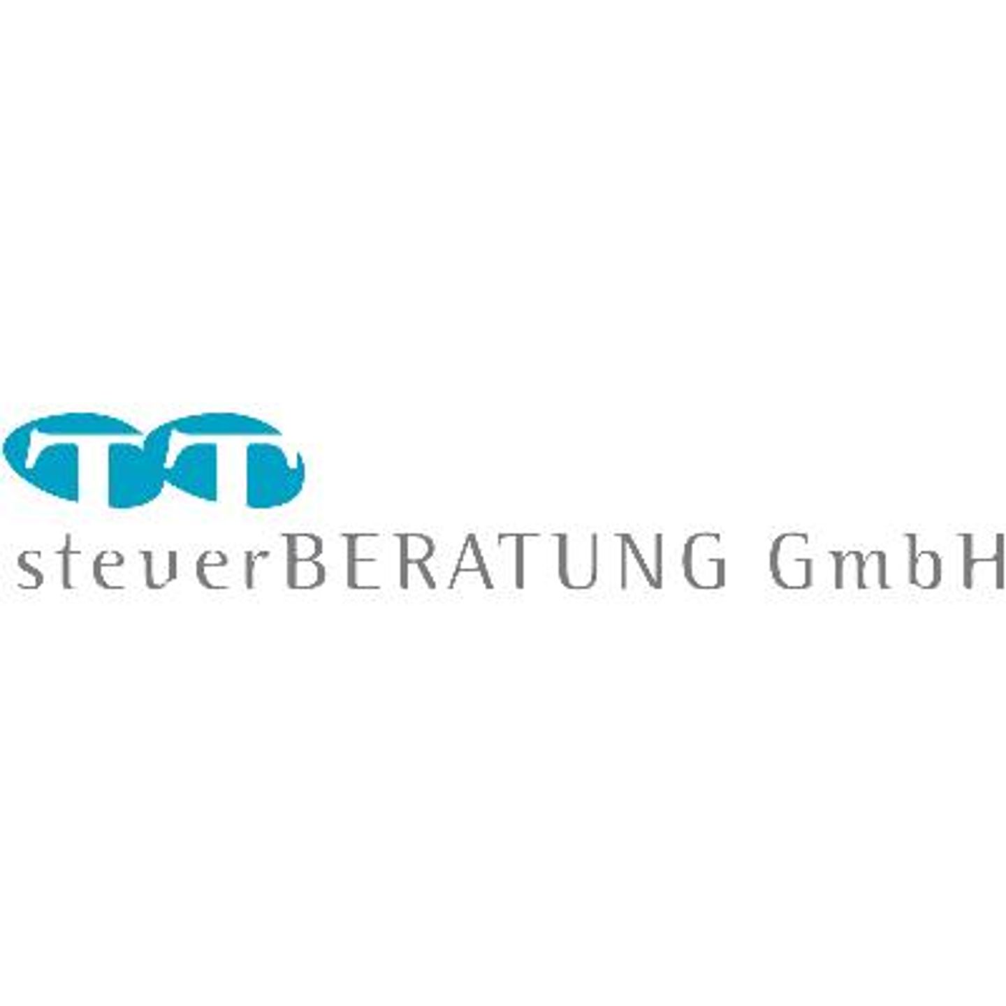 Logo der Firma TT Steuerberatungsgesellschaft mbH aus Oestrich-Winkel auf dem Branchenportal Steuer-Berater.de