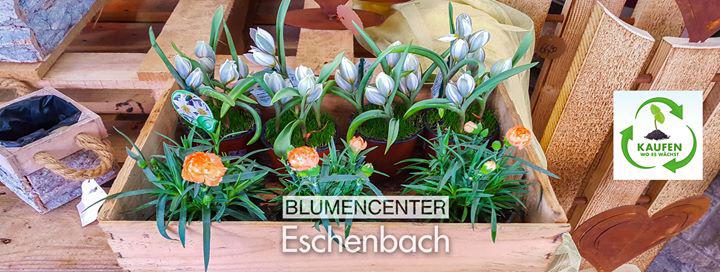 Beispielarbeit von Blumenhaus Heurung - veröffentlicht auf Gartenbau.org