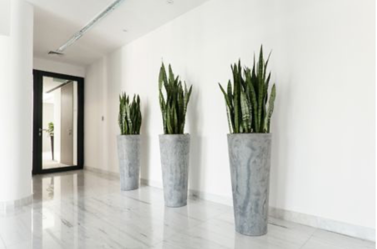 Beispielarbeit von Blumen Geidies - veröffentlicht auf Gartenbau.org