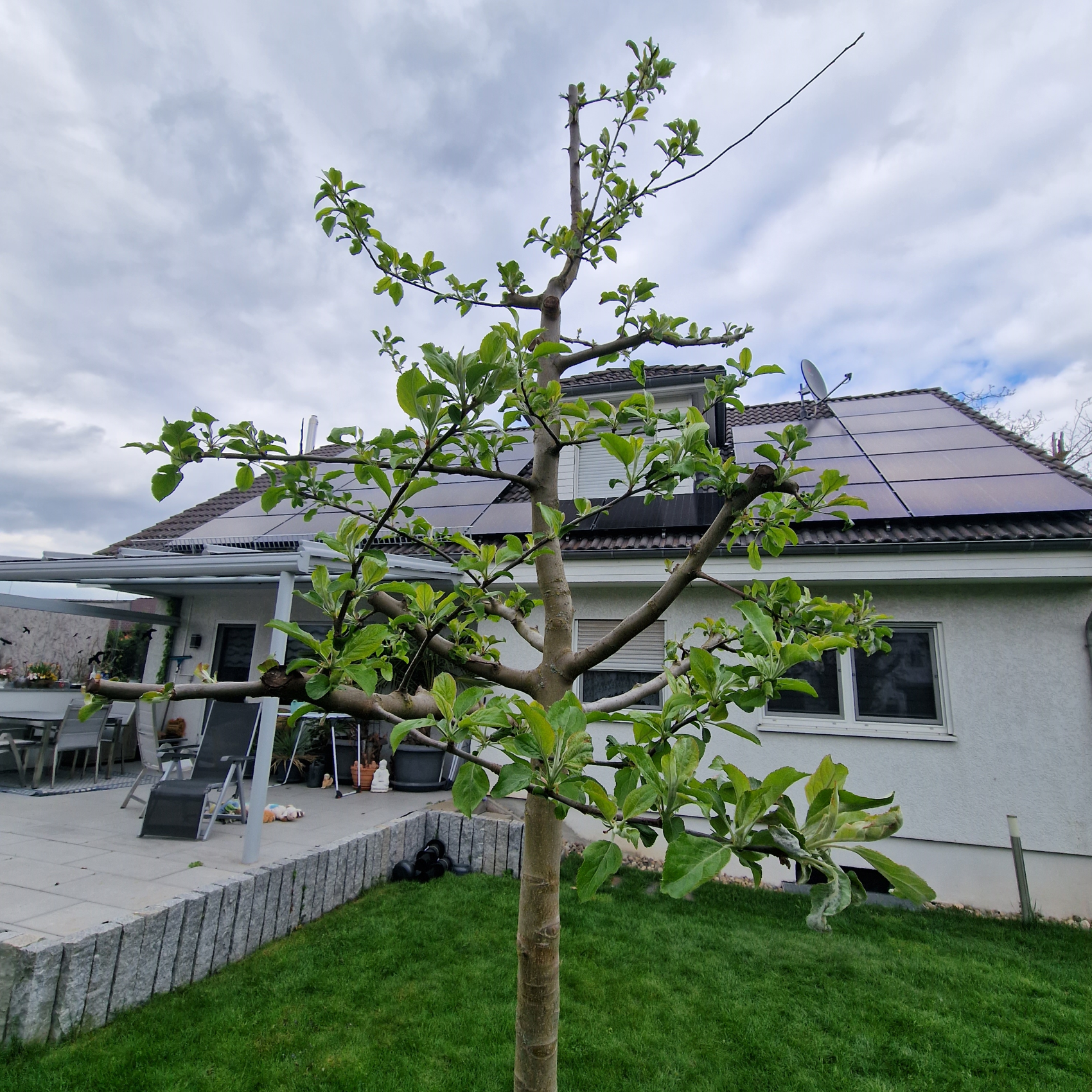 Beispielarbeit von Solarsun - veröffentlicht auf Solartechnik.org