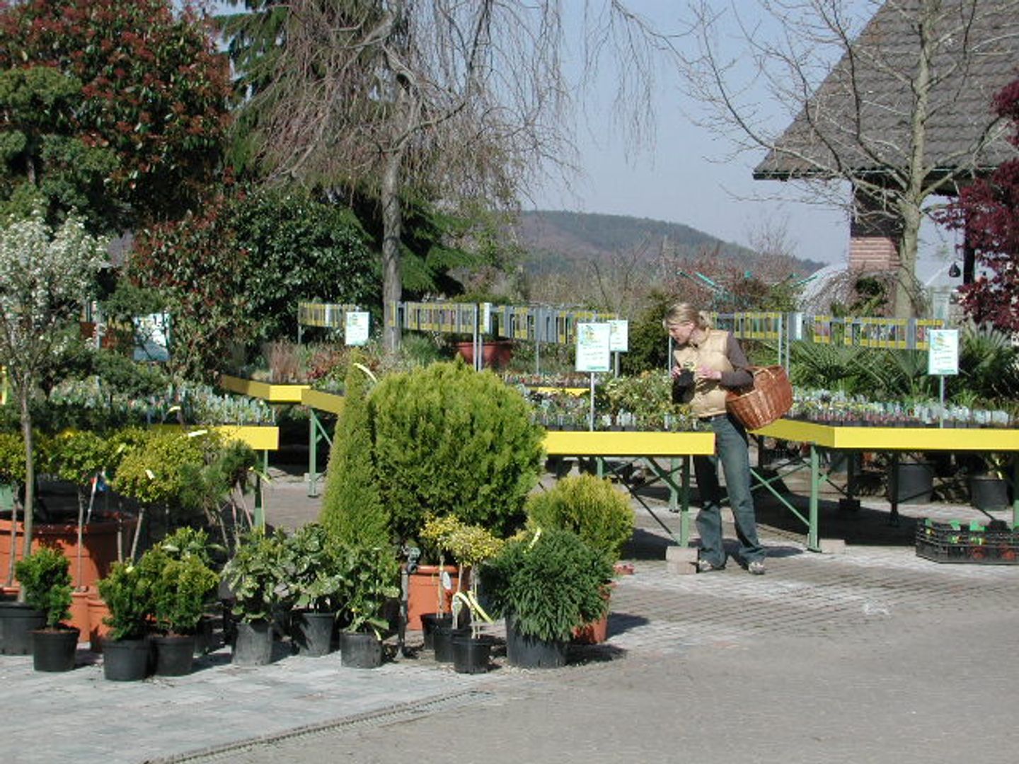Beispielarbeit von Helmstetter GmbH Garten Fachmarkt - veröffentlicht auf Gartenbau.org
