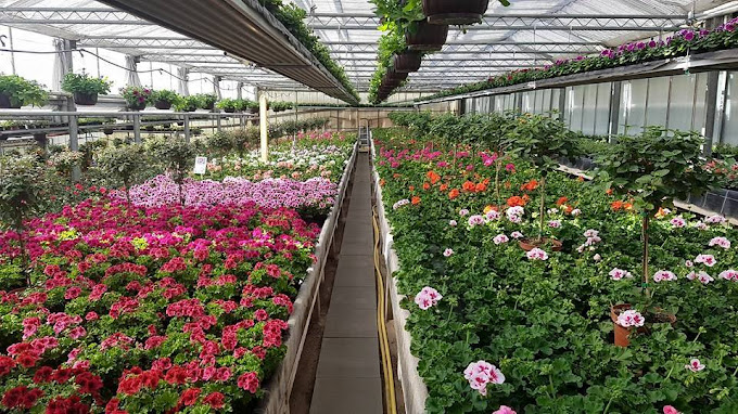 Beispielarbeit von Gärtnerei und Blumenladen Bichl - veröffentlicht auf Gartenbau.org