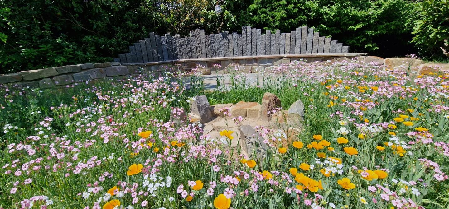 Beispielarbeit von Wießner Garten- und Landschaftsbau GmbH - veröffentlicht auf Gartenbau.org