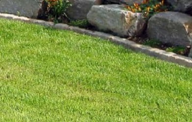 Beispielarbeit von Enzo Giardino - veröffentlicht auf Gartenbau.org