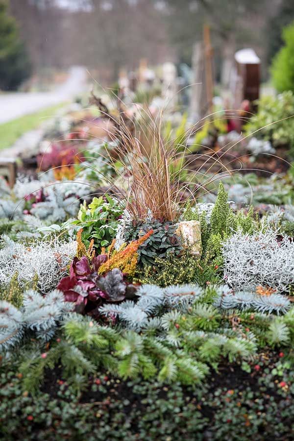 Beispielarbeit von Gärtnerei Strauß Inhaber Florian Strauß - veröffentlicht auf Gartenbau.org