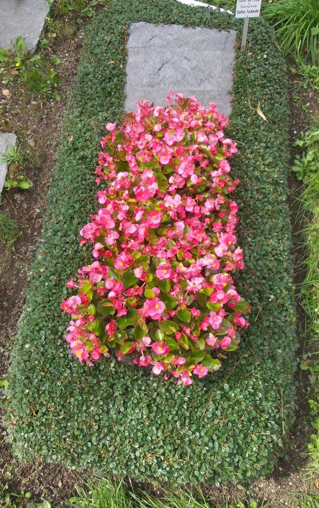 Beispielarbeit von Grünservice Steffen Packmohr - veröffentlicht auf Gartenbau.org