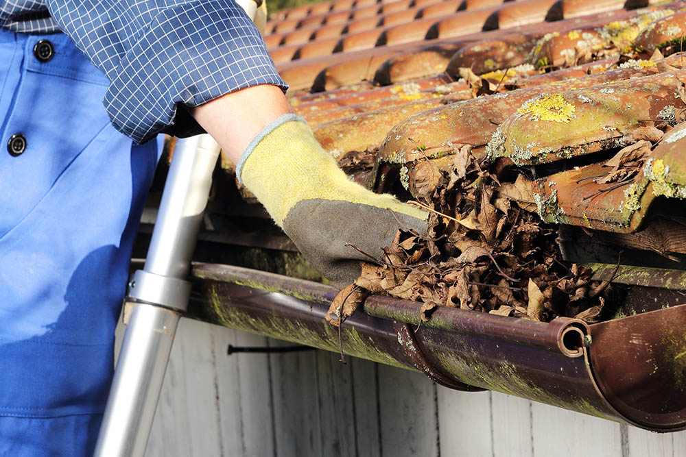 Beispielarbeit von Dachdeckerei Erwin Feiler GmbH Balkonsanierung - Fenstermontage - veröffentlicht auf Dachdecker.com