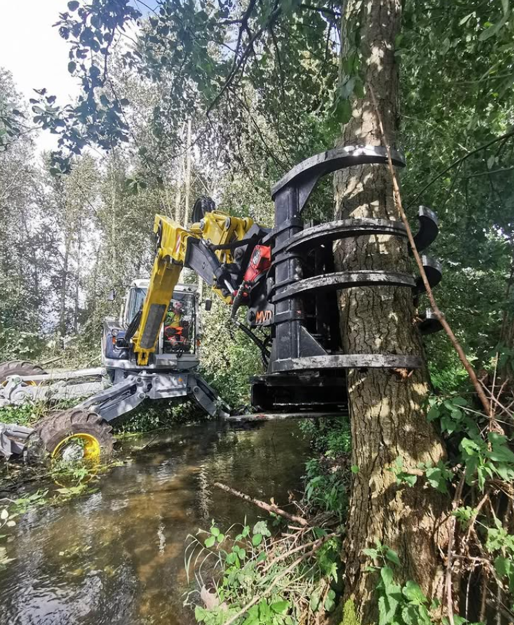 Beispielarbeit von Baum & Forst Tiege - veröffentlicht auf Gartenbau.org