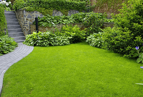 Beispielarbeit von Garten- und Landschaftsbau Seiffert e.K. - veröffentlicht auf Gartenbau.org
