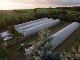 Beispielarbeit von Gärtnerei Mehlhose Inh. Mandy Ritscher - veröffentlicht auf Gartenbau.org