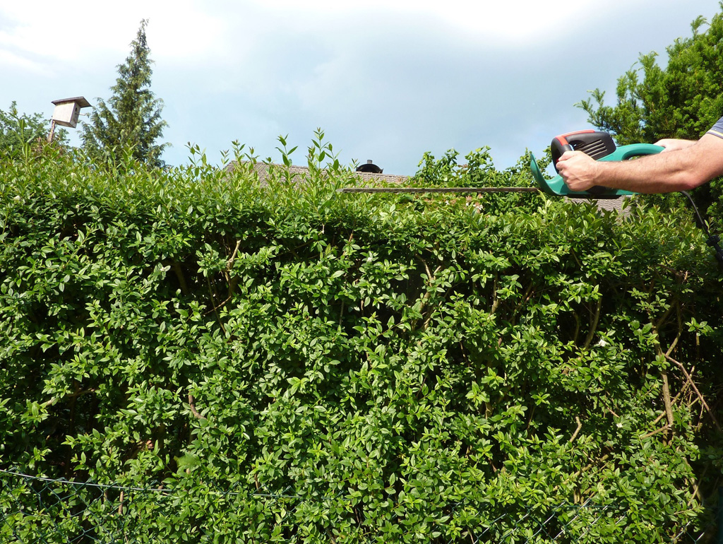 Beispielarbeit von KS LandService GmbH - veröffentlicht auf Gartenbau.org
