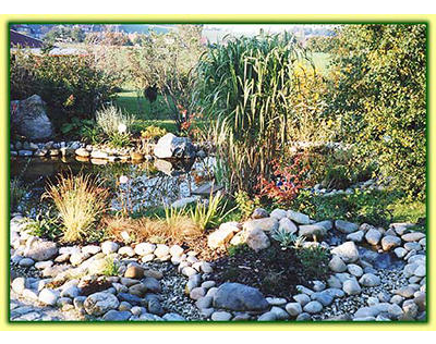 Beispielarbeit von ""Flora passionata'''' - veröffentlicht auf Gartenbau.org