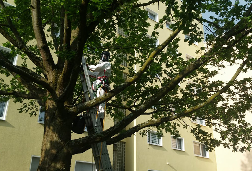 Beispielarbeit von Burkhardt GmbH & Co. KG - veröffentlicht auf Gartenbau.org
