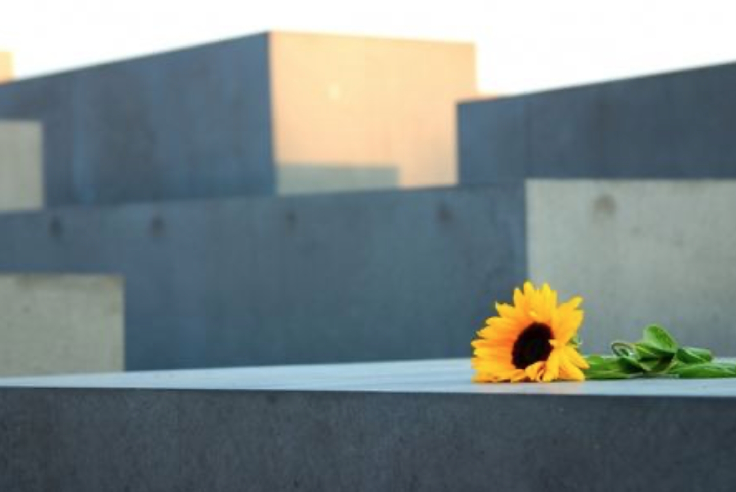 Beispielarbeit von Blumen Geidies - veröffentlicht auf Gartenbau.org