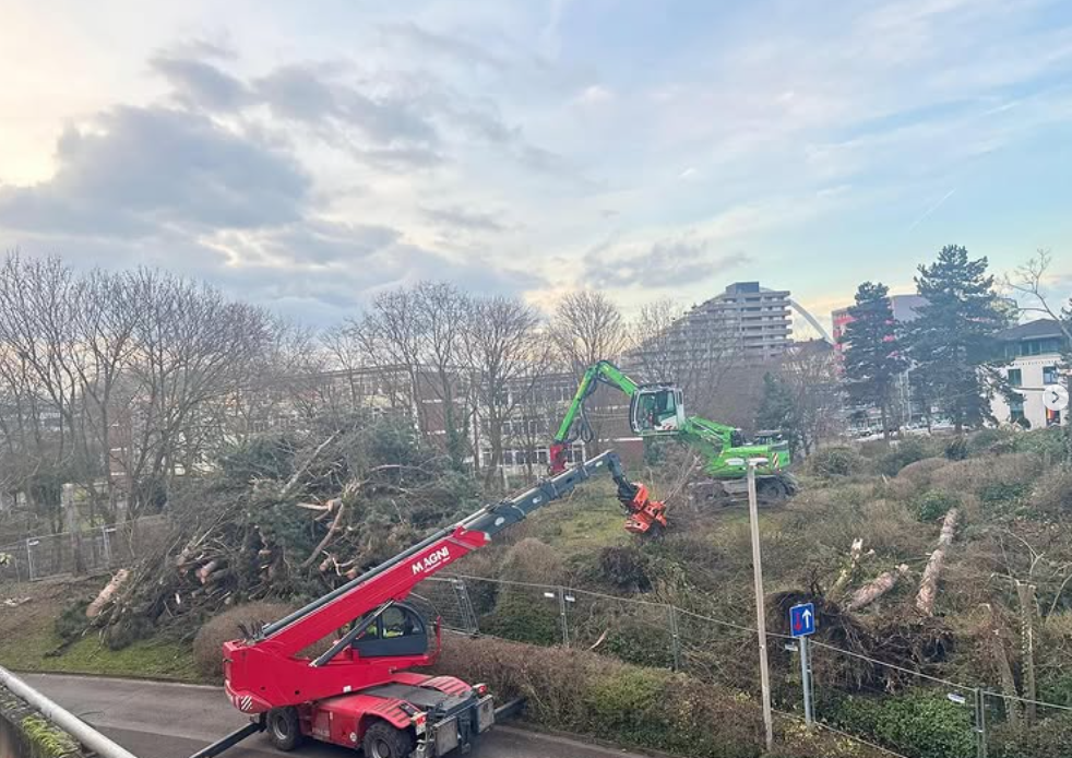 Beispielarbeit von Baum & Forst Tiege - veröffentlicht auf Gartenbau.org