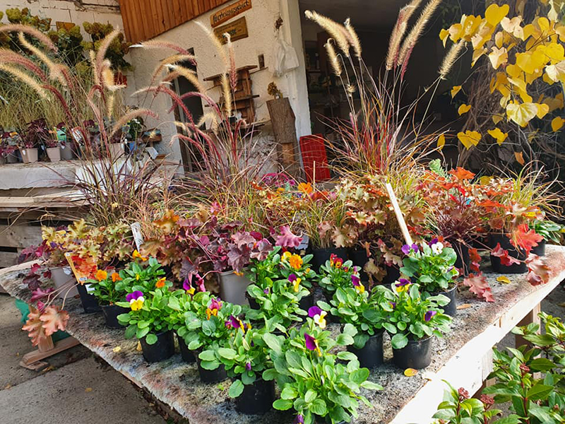 Beispielarbeit von Garten Zeißlhof - veröffentlicht auf Gartenbau.org