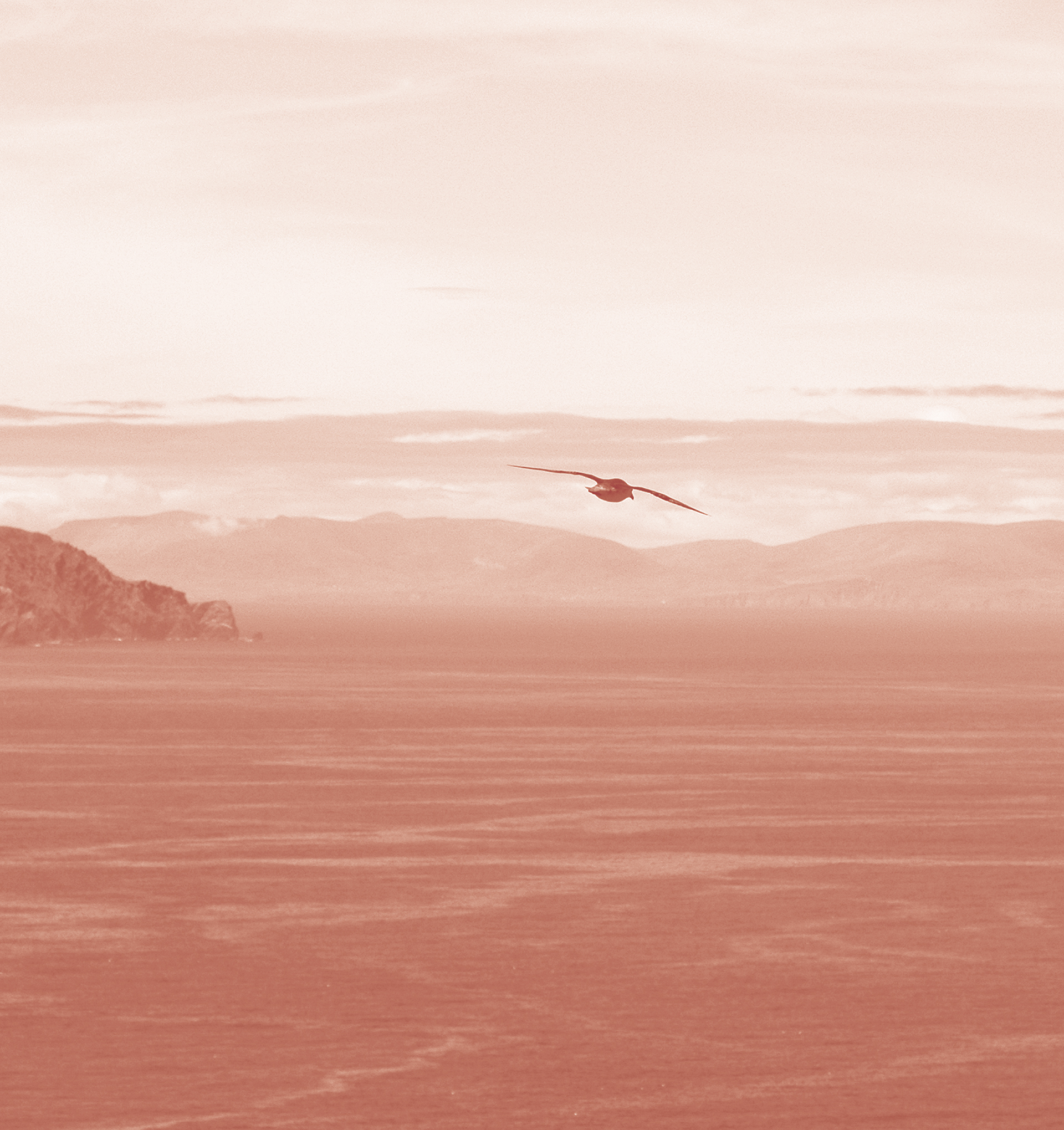 Physiotherapiepraxis / Heilpraktikerpraxis Katrin Jühling cover image