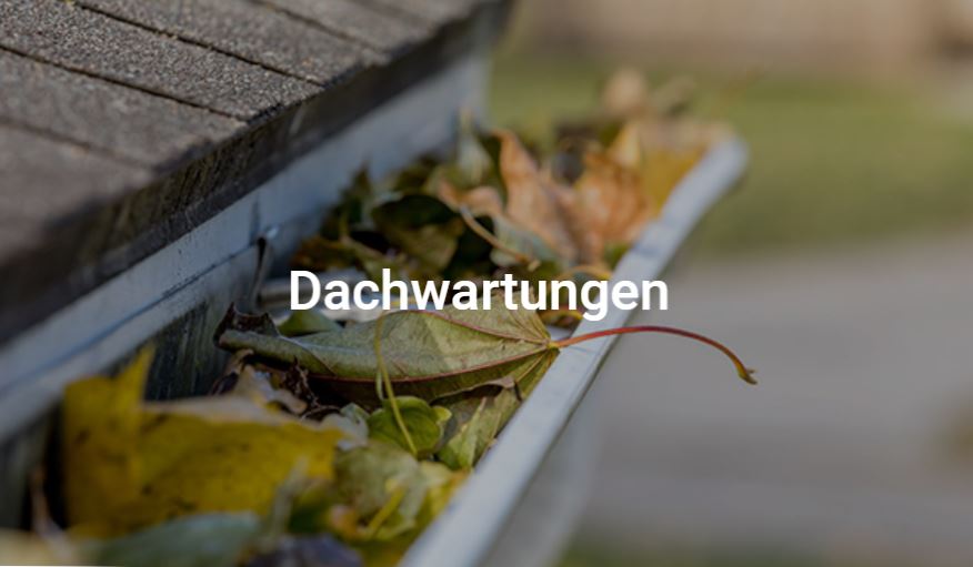 Beispielarbeit von Wolfgang Bock Dach und Bau GmbH - veröffentlicht auf Dachdecker.com