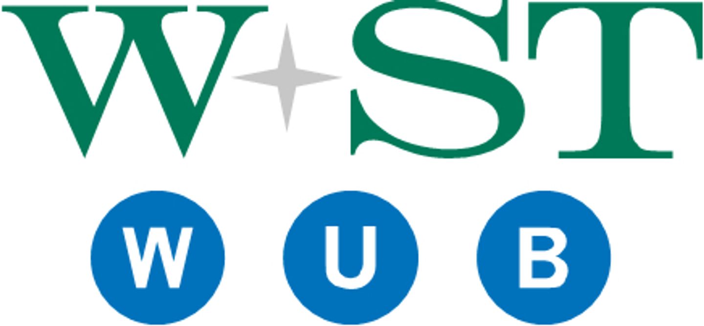 Logo der Firma W+ST WUB Steuerberatungsgesellschaft mbH aus Saarbrücken auf dem Branchenportal Steuer-Berater.de