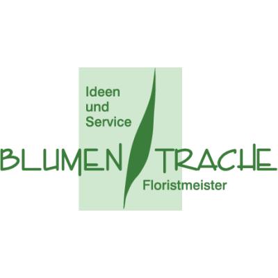 Logo der Firma Blumen-Trache Floristmeisterbetrieb e.K. aus Dresden auf dem Branchenportal Gartenbau.org