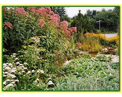 Beispielarbeit von ""Flora passionata'''' - veröffentlicht auf Gartenbau.org