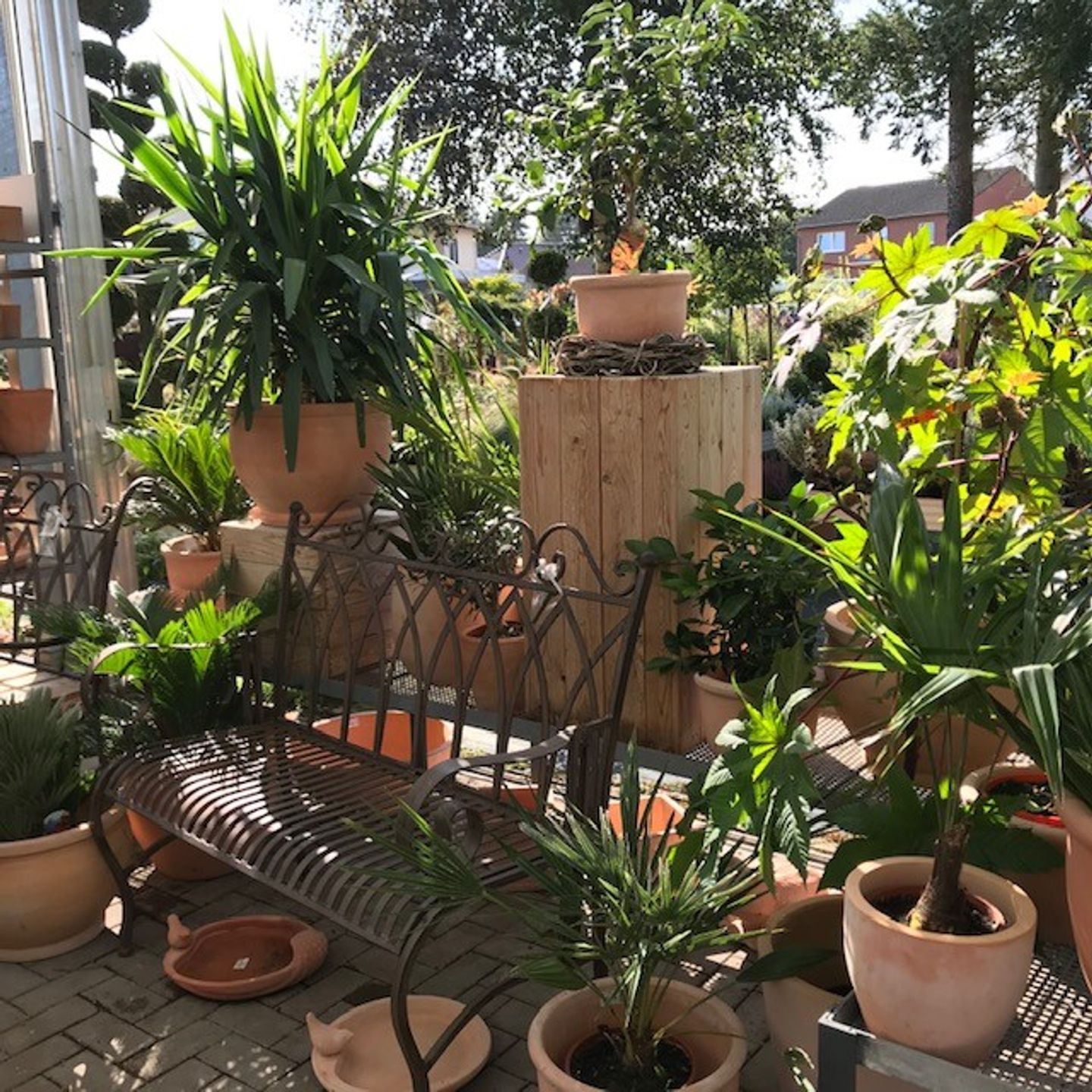 Beispielarbeit von Zühlke Gärtnerei & Floristik - veröffentlicht auf Gartenbau.org