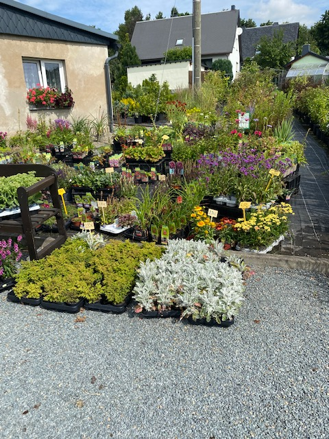 Beispielarbeit von Baumschule Feustel - veröffentlicht auf Gartenbau.org
