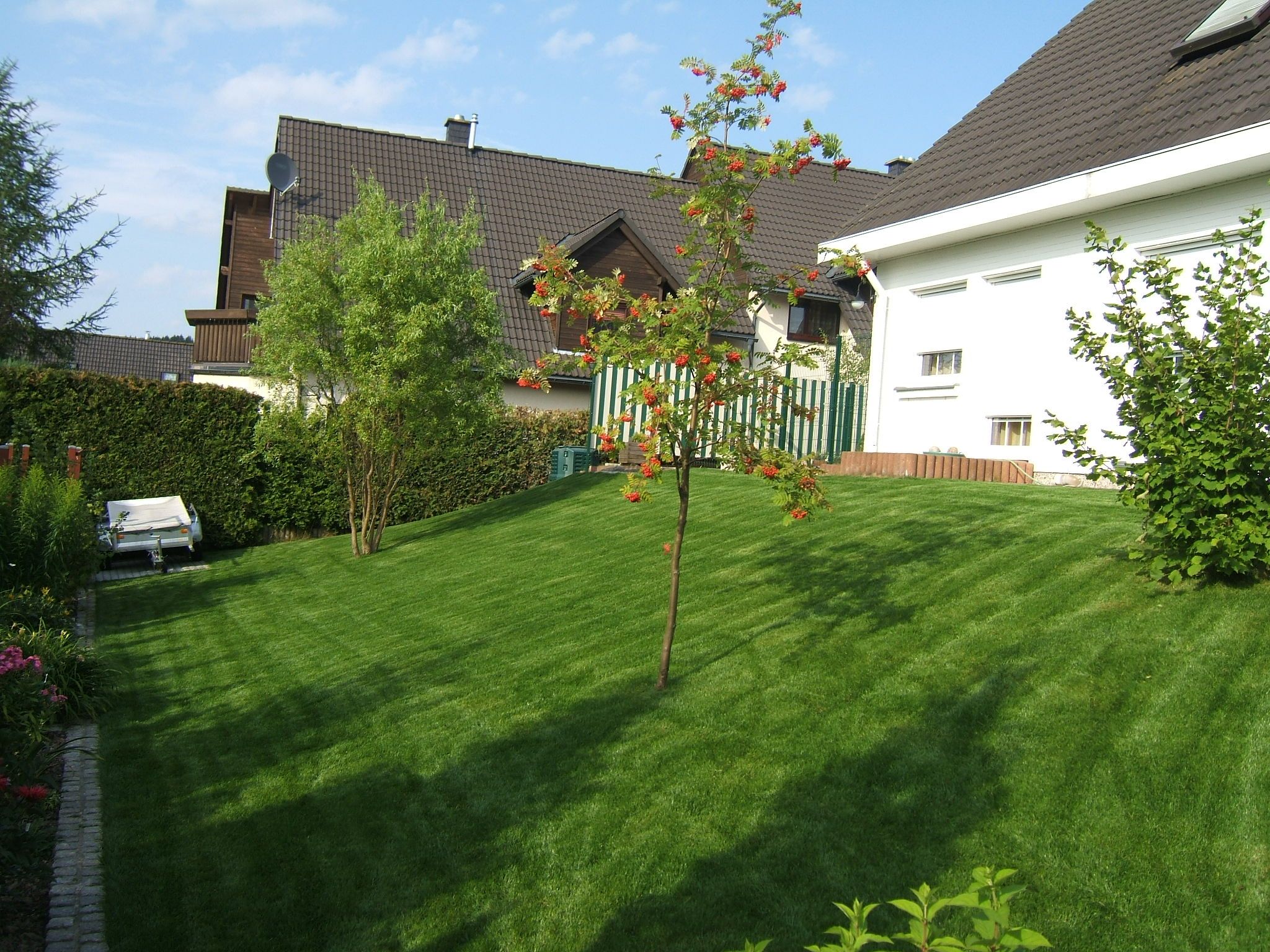 Beispielarbeit von DDM Dienstleistungen Daniel Morgenstern - veröffentlicht auf Gartenbau.org