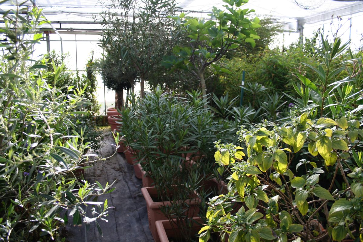 Beispielarbeit von Gärtnerei Marcus Dornauer - veröffentlicht auf Gartenbau.org