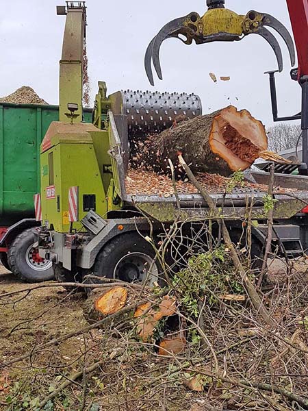 Beispielarbeit von Duwenhorst René Garten-Landschaftsbau-Tiefbau - veröffentlicht auf Bauunternehmen.org