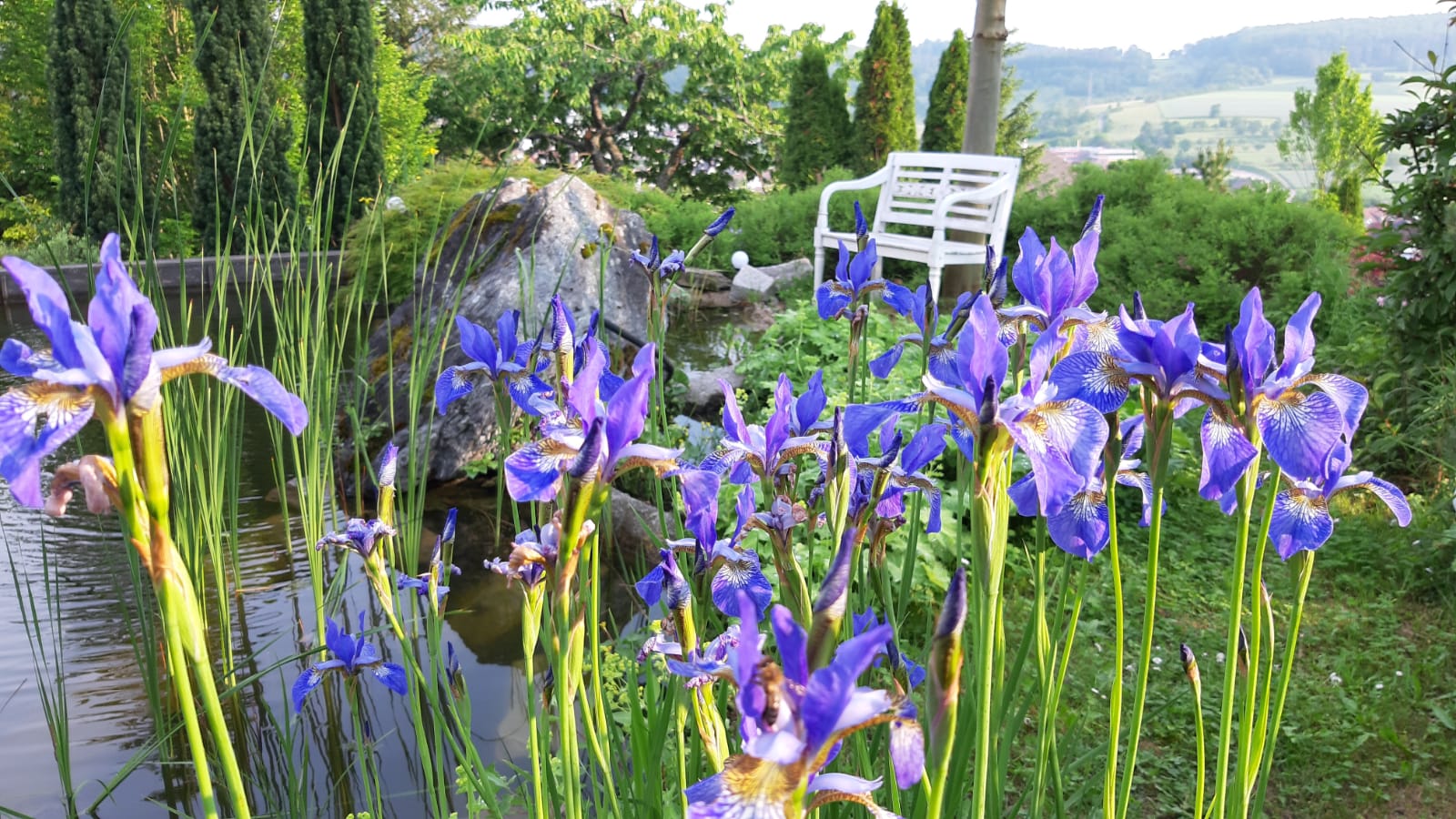 Beispielarbeit von Winter Gartenbau GmbH - veröffentlicht auf Gartenbau.org
