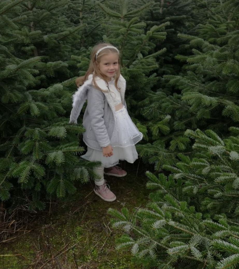 Beispielarbeit von Christbaumhof Peter - veröffentlicht auf Gartenbau.org