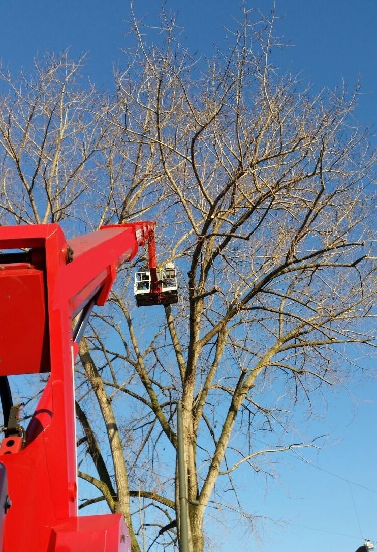 Beispielarbeit von Wendling GbR - veröffentlicht auf Gartenbau.org